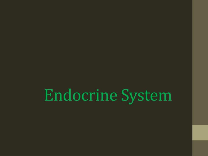 endocrine system