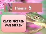 CLASSIFICEREN VAN DIEREN - slide 1