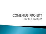 COMENIUS PROJEKT - slide 1