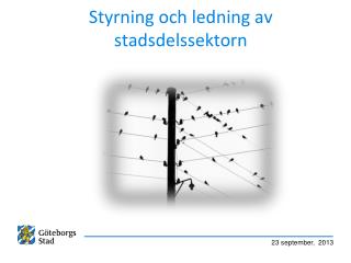 styrning och ledning av stadsdelssektorn