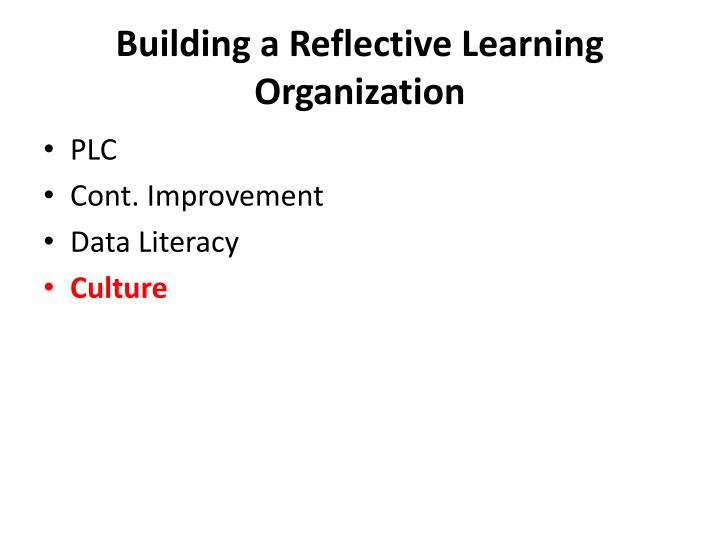building a reflective learning organization