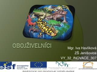 mgr iva havl kov z jeni ovice vy 32 inovace 307
