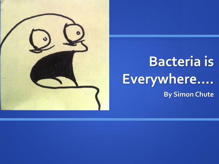 bacteria is everywhere