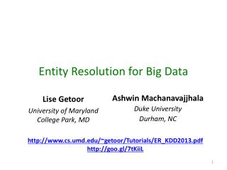 Entity Resolution for Big Data