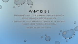WHAT IS ib ?