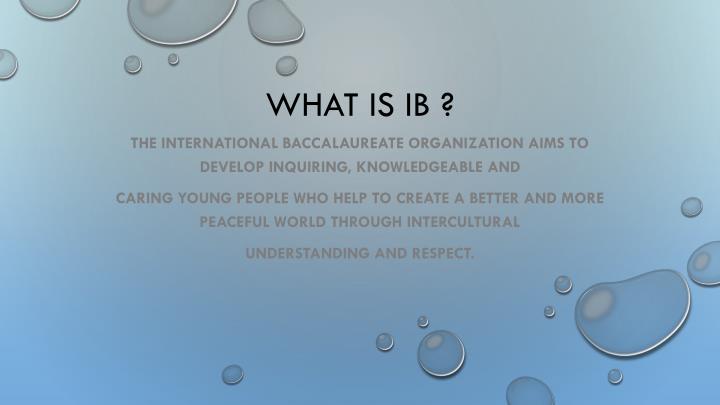 what is ib