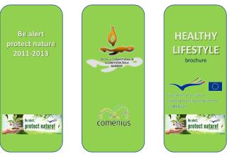 HEALTHY LIFESTYLE brochure