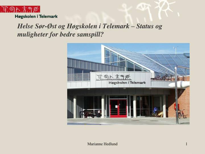 helse s r st og h gskolen i telemark status og muligheter for bedre samspill