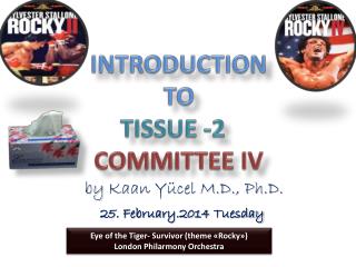 INTRODUCTION TO TISSUE -2 COMMITTEE IV