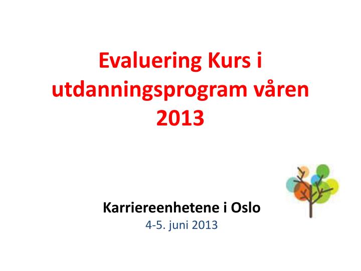 evaluering kurs i utdanningsprogram v ren 2013