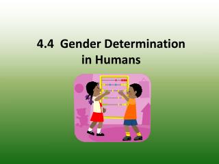 4.4 Gender Determination in Humans