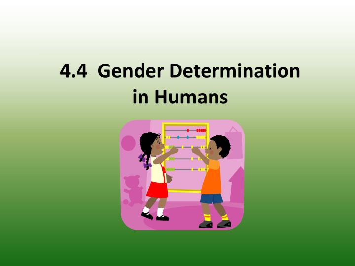 4 4 gender determination in humans