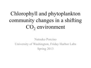Chlorophyll and phytoplankton community changes in a shifting CO 2 environment