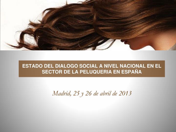 estado del dialogo social a nivel nacional en el sector de la peluqueria en espa a