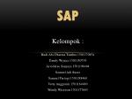 SAP - slide 1