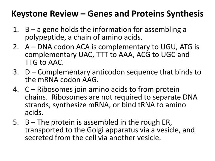 keystone review genes and proteins synthesis