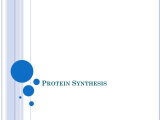 Protein Synthesis