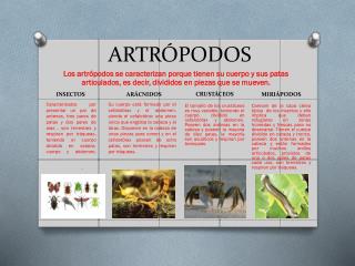 artr podos