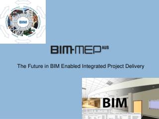 The Future in BIM Enabled Integrated Project Delivery