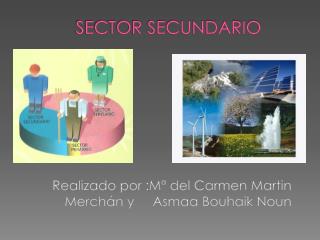 sector secundario