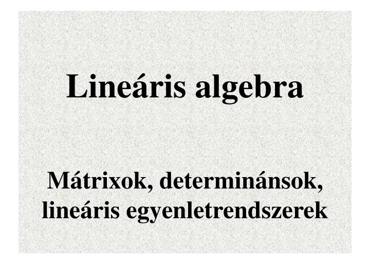 line ris algebra m trixok determin nsok line ris egyenletrendszerek