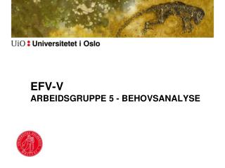 efv v arbeidsgruppe 5 behovsanalyse