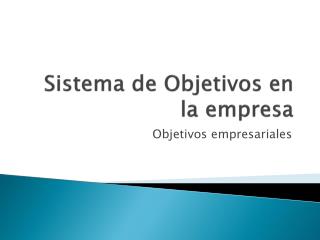 sistema de objetivos en la empresa