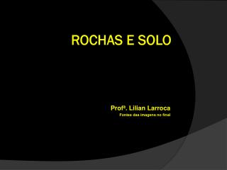prof lilian larroca fontes das imagens no final