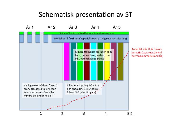 schematisk presentation av st
