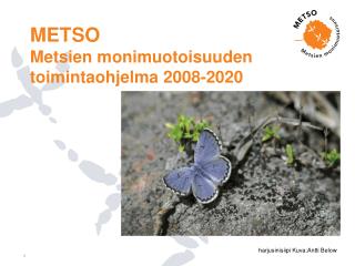 metso metsien monimuotoisuuden toimintaohjelma 2008 2020