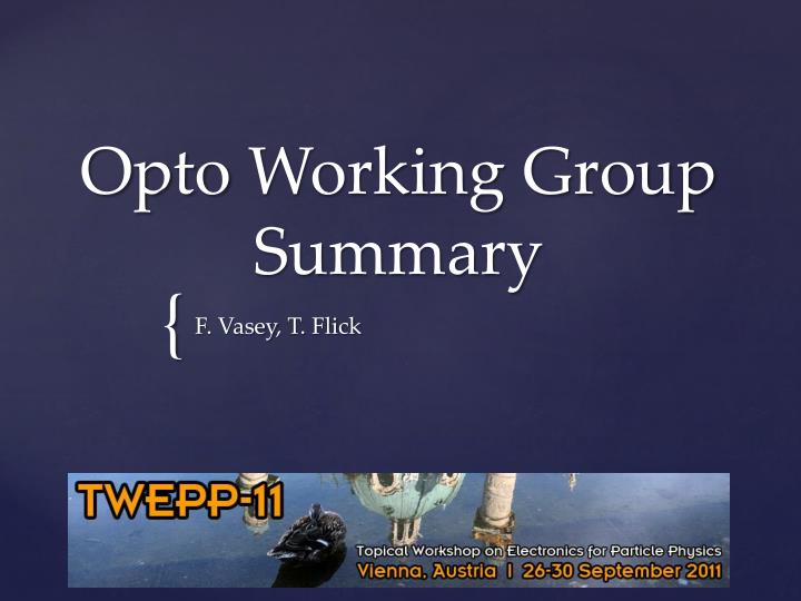 opto working group summary