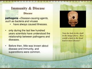 Immunity &amp; Disease