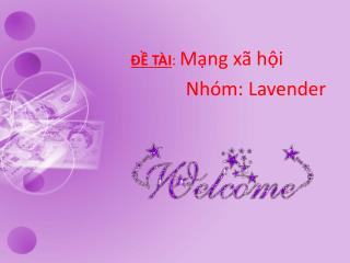 t i m ng x h i nh m lavender