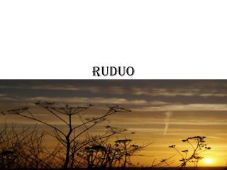 ruduo