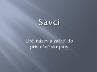 savci