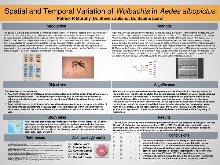 spatial and temporal variation of wolbachia in aedes albopictus