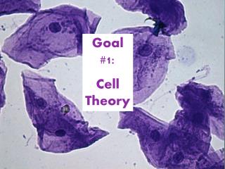 Goal #1: Cell Theory