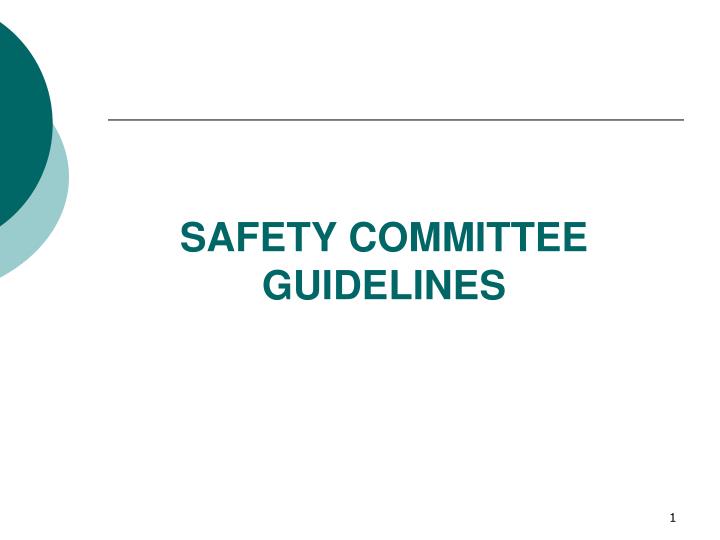 safety committee guidelines