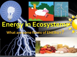 Energy in Ecosystems What are some forms of ENERGY ?