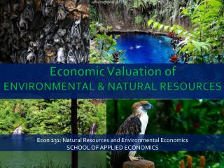 Economic V aluation of ENVIRONMENTAL &amp; NATURAL RESOURCES
