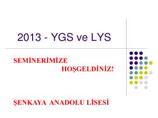 2013 ygs ve lys
