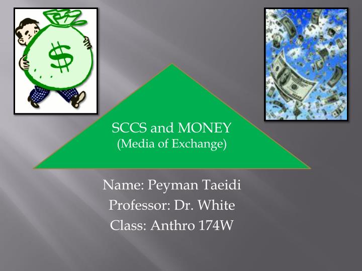 name peyman taeidi professor dr white class anthro 174w