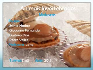 animais invertebrados moluscos