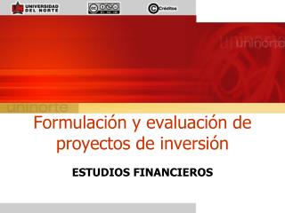 formulaci n y evaluaci n de proyectos de inversi n