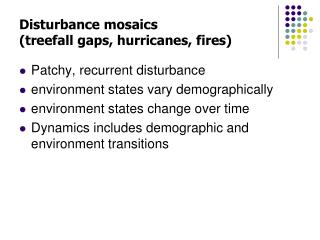 Disturbance mosaics (treefall gaps, hurricanes, fires)