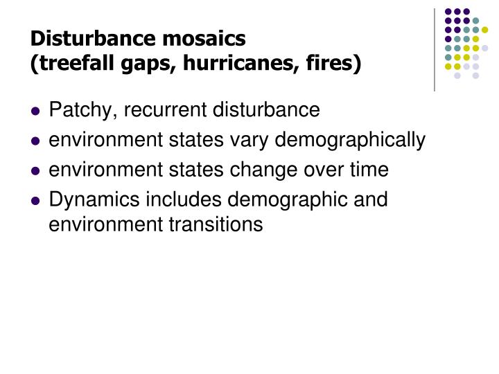 disturbance mosaics treefall gaps hurricanes fires