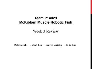 Week 3 Review