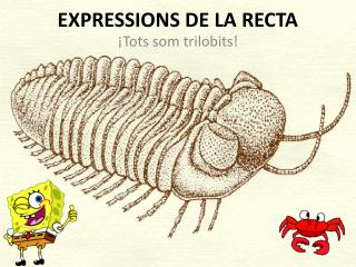 expressions de la recta
