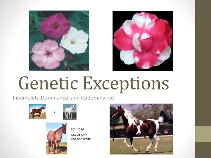 genetic exceptions