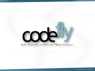 PWSZ Gniezno // codefly 2009
